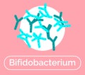 Bifidobacterium Nonmotile Bacteria Probiotics Royalty Free Stock Photo