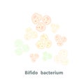Bifidobacterium probiotics on white Royalty Free Stock Photo