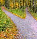 Bifurcation of a footpath in the park in autumn, evening landscape