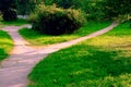 Bifurcation of a footpath in the park in summer