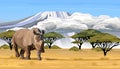 Big African rhino walking in savanna in Africa vector illustration