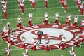 Big Al And The University of Alabama Million Dollar Band