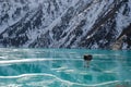 Big Almaty lake, winter