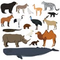 Big animal collection. Vector set of wild animals, birds, fishes