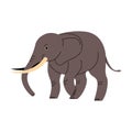 Big animal with long trunk and tusks. Endangered mammal walking, african or indian elephant standing. Wild beast in