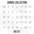 Big animal set