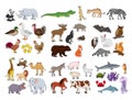 Big animals set, illustration with animals collection isolated on white background Royalty Free Stock Photo