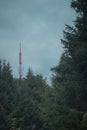 Big antenna mast for 3G, 4G and 5G repeater in the middle of the forest or nature. Controversial tehnology in the wild nature.