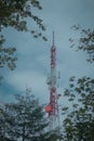 Big antenna mast for 3G, 4G and 5G repeater in the middle of the forest or nature. Controversial tehnology in the wild nature.