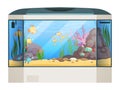 Big aquarium. Fishes and water plants in glass aquarium tank underwater life vector cartoon illustration