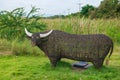 Big artificial buffalo on green yard at outdoor kid playground Royalty Free Stock Photo