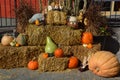 PBig assortment of decorative pumpkins, squashes