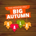 Big autumn sale offer, banner template. Colored maple leaf with lettering, isolated on wooden background. Fall leaf sale Royalty Free Stock Photo