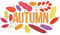 Big autumn word surrounded by red and yellow leaves of European forests vector flat style illustration isolated on white, beauty