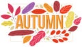 Big autumn word surrounded by red and yellow leaves of European forests vector flat style illustration isolated on white, beauty