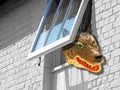 Big bad wolf head looking through window animals fierce wild teeth growling growl barking bark home house ferocious Royalty Free Stock Photo