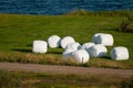 Big bales wrapped in white plastic in Iceland Royalty Free Stock Photo