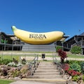 The Big Bannana