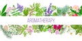 Big banner set of popular essential oil plants. Ornament with text aromatherapy Royalty Free Stock Photo