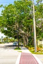 Big banyan tree in the garden