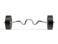 Big barbell weight with EZ bar - front view
