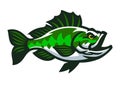 Big Bass Fish Logo Mascot Design Royalty Free Stock Photo