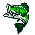 Big Bass Fish Mascot Jumping Royalty Free Stock Photo