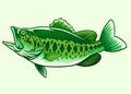 Big bass green fish