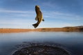 Big Bass Large mouth - Fishing on lake Royalty Free Stock Photo