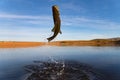 Big Bass Large mouth - Fishing on lake Royalty Free Stock Photo