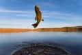 Big Bass Large mouth - Fishing on lake Royalty Free Stock Photo