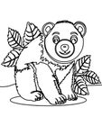 Big bear coloring page Royalty Free Stock Photo