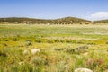 Big Bear Lake California Royalty Free Stock Photo