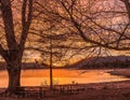 Big Bear Lake glows through the trees in the brilliant sunset in California Royalty Free Stock Photo