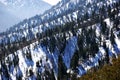Big Bear Mountains Royalty Free Stock Photo