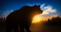 Big bear silhouette on the background of the forest at sunset Royalty Free Stock Photo