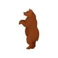 Big bear standing on two hind legs, side view. Large forest animal with brown fut and short tail. Flat vector icon