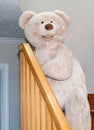 Big bear on a wooden stair case Royalty Free Stock Photo