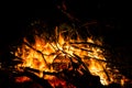 Big beautiful bonfire on black background. Real fire flames. Burning. Ignited. Night campfire. Orange color. Nature landscape.