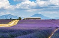 Big beautiful lavender field with a farm in the background of mountains and beautiful sky with clouds.