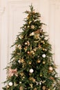 Big beautiful New Year tree , decorated with ornament,white and gols balls and small lightings.Classical Christmas decor Royalty Free Stock Photo