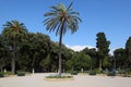 Big beautiful palm trees on Piazzale Napoleone Royalty Free Stock Photo