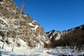 Beautiful winter landscape. Mountains and birches. Siberia. Khakassia. Royalty Free Stock Photo