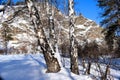 Beautiful winter landscape. Mountains and birches. Siberia. Khakassia. Royalty Free Stock Photo