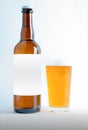 A Big Beer Bottle Mock-Up with glass of session pale ale and foam. Blank Label Royalty Free Stock Photo