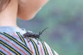 Big beetle barbel on a childÃ¢â¬â¢s shoulder