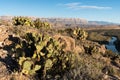 Big Bend National Park - Rio Grande River, Texas Royalty Free Stock Photo