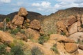 Big Bend National Park boulders from hiking trail Royalty Free Stock Photo