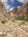 Big bend national park