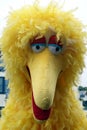 Big Bird Sesame Street